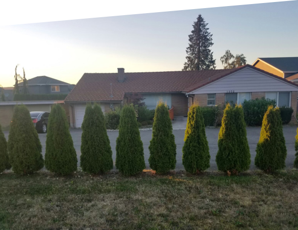 Outside view of Ace Haven home with the pine trees in front