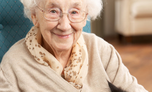 Female senior holding a cat