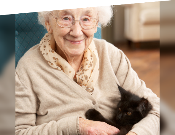 Female senior holding a cat