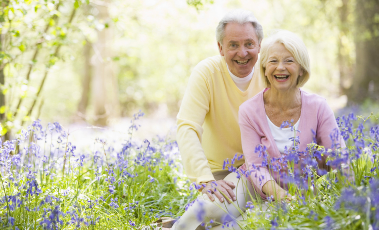 Happy senior couple in a garden